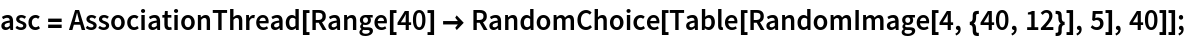 asc = AssociationThread[
   Range[40] -> RandomChoice[Table[RandomImage[4, {40, 12}], 5], 40]];